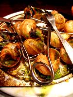 Snails